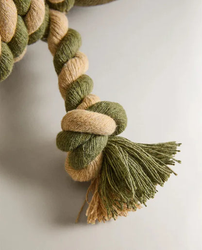Frog Pet Toy