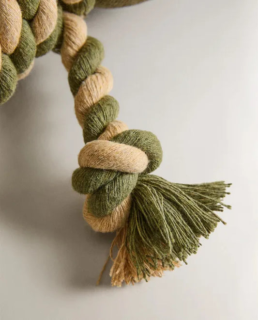 Frog Pet Toy