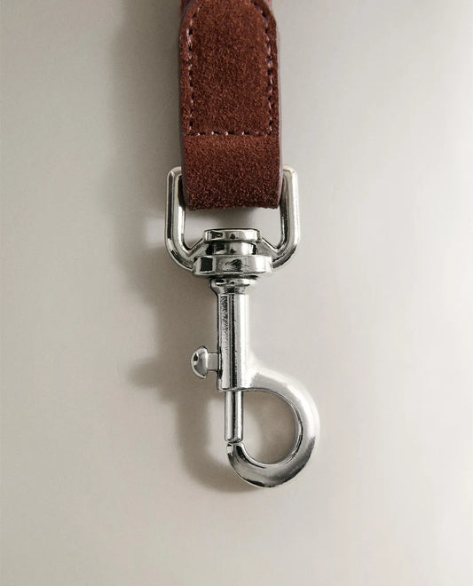 Pet Leash with Carabiner