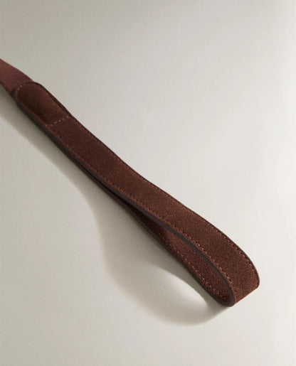 Pet Leash with Carabiner