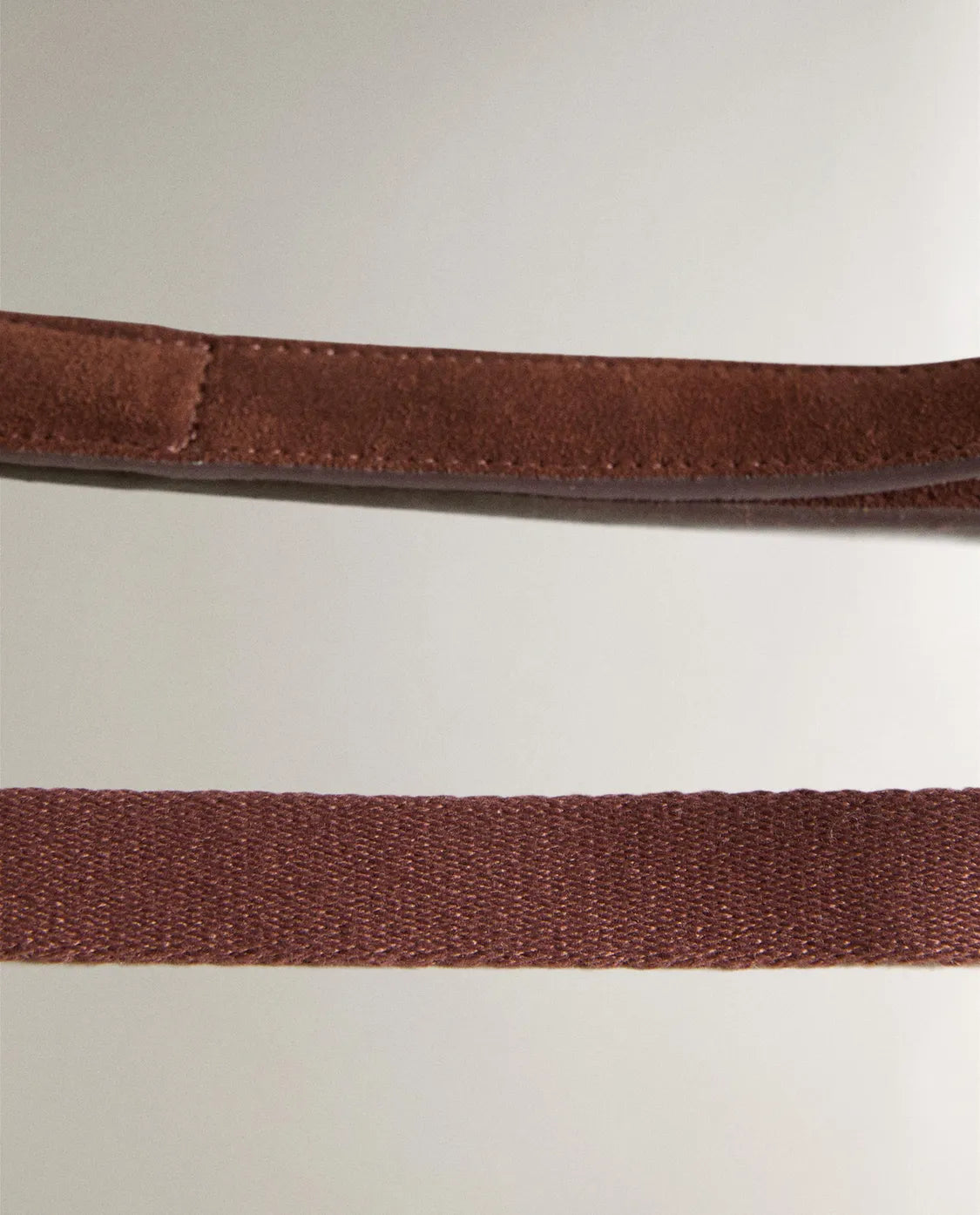 Pet Leash with Carabiner