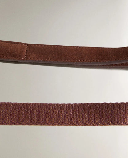 Pet Leash with Carabiner