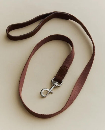 Pet Leash with Carabiner