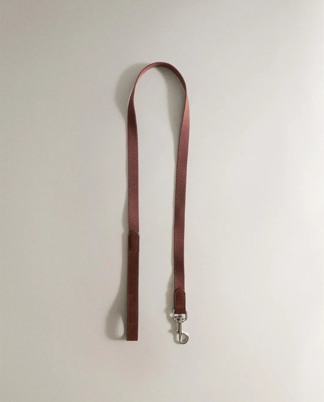 Pet Leash with Carabiner