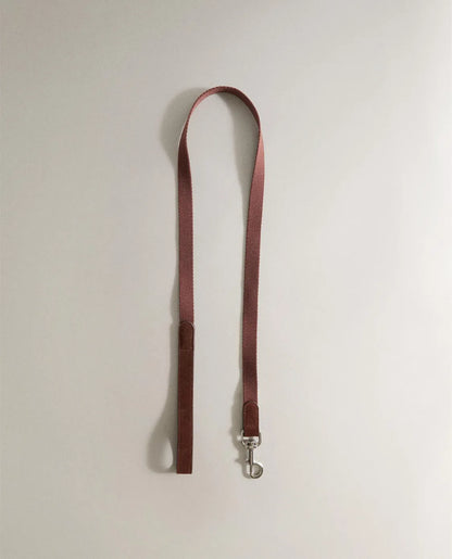 Pet Leash with Carabiner